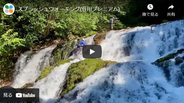 スプラッシュ・ウォーキング (プレミアムVer.)